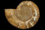 Orange, Crystal Filled, Cut Ammonite Fossil - Jurassic #168534-4
